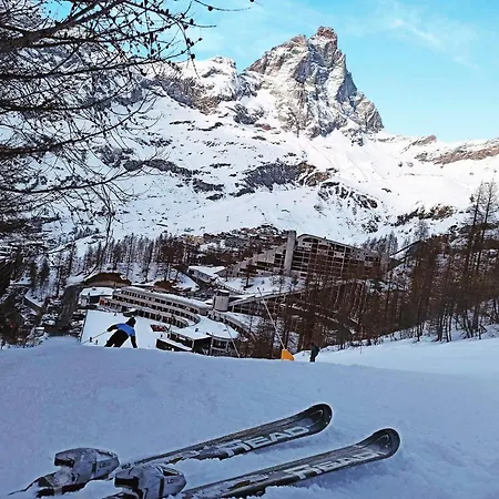 Soldanella Cervinia Vda Vacanze In Vetta Cir 0253
