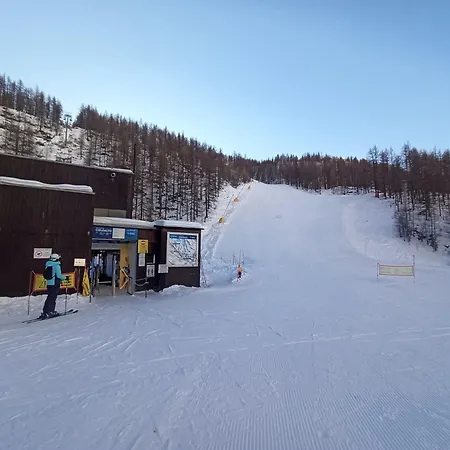 Soldanella Cervinia Vda Vacanze In Vetta Cir 0253