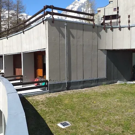 Soldanella Cervinia Vda Vacanze In Vetta Cir 0253