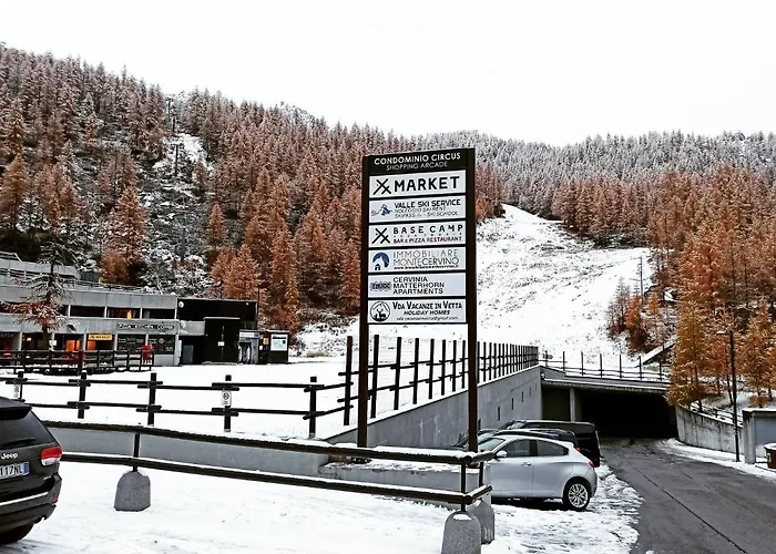 Soldanella Cervinia Vda Vacanze In Vetta Cir 0253 *